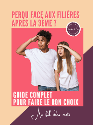 Ebook Orientation après la 3è Perdu dans l'orientation scolaire ?